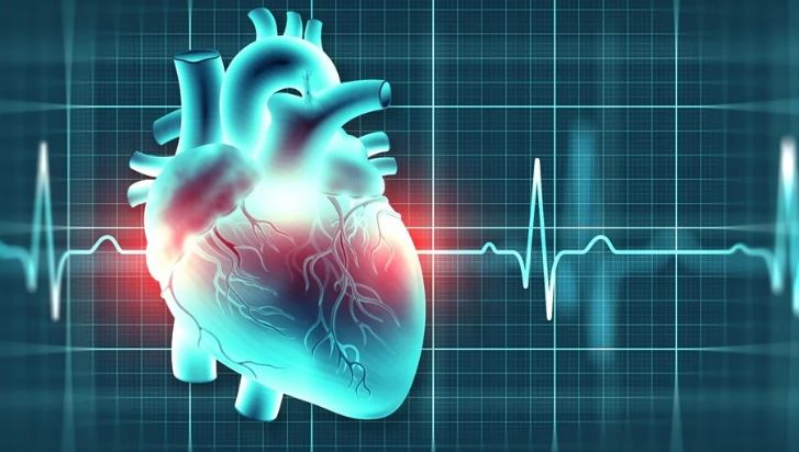 Savvy Updates 12/22/25